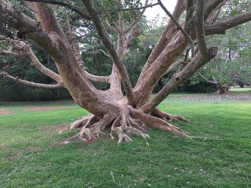 Harare Botanical Gardens