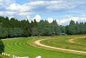 Borrowdale Race Course